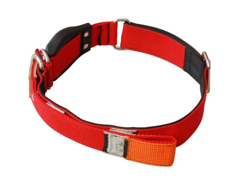 WowWow Professional Hundehalsband mit Leine - rot - Größe S 33-37 cm, 185g leicht, innovatives Halsband mit integrierter Leine - bekannt aus der Höhle der Löwen von WowWow