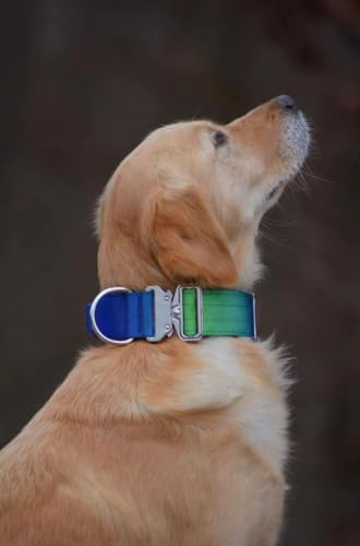 Hochwertiges taktisches Hundehalsband 5cm breit mit Griff mit Sicherheitsverschluss (M, Grünblau) von Wowpaw
