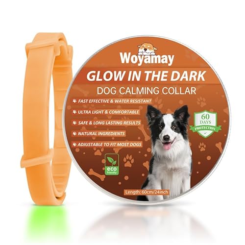 Woyamay Beruhigungshalsband für Hunde | Einstellbare Leuchthalsband Beruhigungshalsband Hund bei Angst Stress | Natürliches Hundehalsband mit Pheromonen für Hunde Aller Größen (Orange) von Woyamay