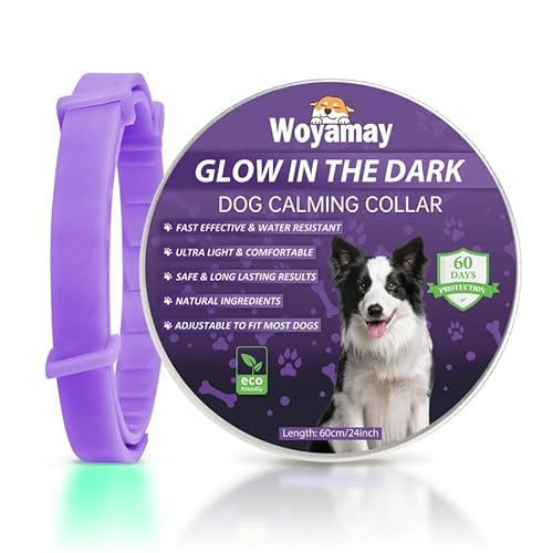 Woyamay Beruhigungshalsband für Hunde | Einstellbare Leuchthalsband Beruhigungshalsband Hund bei Angst Stress | Natürliches Hundehalsband mit Pheromonen für Hunde Aller Größen (Violett) von Woyamay