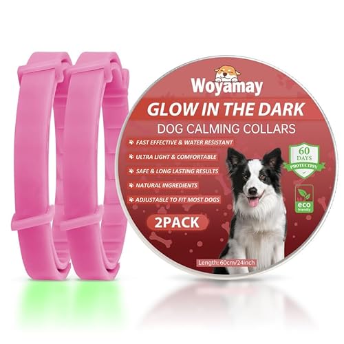 Woyamay Beruhigungshalsband für Hunde | Einstellbare Leuchthalsband Beruhigungshalsband Hund bei Angst Stress | Natürliches Hundehalsband mit Pheromonen für Hunde Aller Größen | 2 Stück (Heißes Rosa) von Woyamay