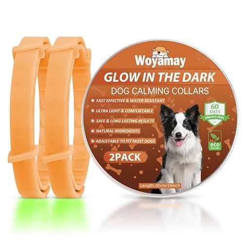 Woyamay Beruhigungshalsband für Hunde | Einstellbare Leuchthalsband Beruhigungshalsband Hund bei Angst Stress | Natürliches Hundehalsband mit Pheromonen für Hunde Aller Größen | 2 Stück (Orange) von Woyamay