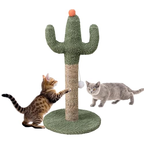 Cactus Cat Tree, süßer Katzenkratzer | Grünes kratzend Post,Vertikale natürliche Kätzchen -Kratzstangen, stabile Nagelstangen für alle Innenkätzchen von Wpsagek