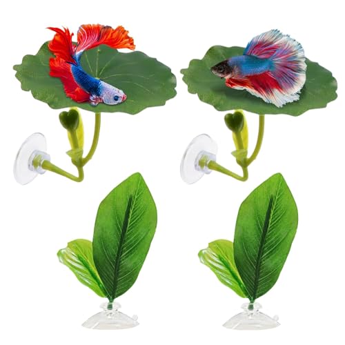 Betta Fish Leaves, Adjustable Suction Cup Hammock, Soft Simulated Fish Resting Pad, Stress-Reducing Betta Plant Leaf, Ideal for Breeding, Sleeping, and Improving Health in Aquariums von Wrohto