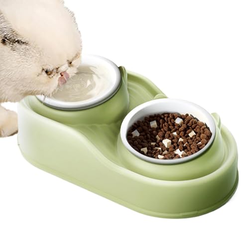 Tilted Cat Food Bowls, 15° Raised Ceramic Double Dishes, Anti-Vomiting Pet, 2-Piece Set for Small, Medium, Large Dogs and Cats, Ergonomic Design for Comfortable Feeding, Stylish von Wrohto