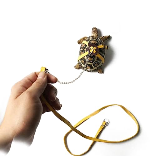 Leder Harness Strap für Schildkröte, Verstellbare kleine Haustier Harness Reptile Leine,Schildkröte Leine Pet Walking Lead Control Seil Pet Supplies von Wudaizhi