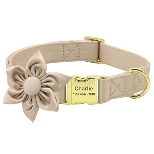 Hundehalsband für Mädchen, mit abnehmbarer Blume, weich gepolstert, verstellbar, mit goldener Metallschnalle, für kleine, mittelgroße und große Hunde, Beige, XS von Wulachaka