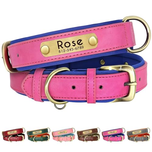 Personalisierbares Hundehalsband aus echtem Leder, weich gepolstert, robust, mit Metallmaterial, verstellbar, für kleine, mittelgroße und große Hunde, Gravurplatte (Pink, XL) von Wulachaka