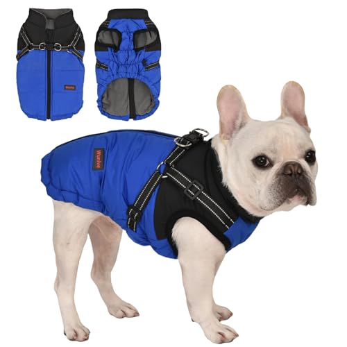 Wunive Hundemantel mit Geschirr, wasserdichter Hundemantel, Winter-Hundemantel, Hundejacke, kleine Hundemantel, wasserdichte Hundemäntel mit Geschirr, integriertes 2-in-1 für kleine, mittelgroße und Wunive Hundemantel mit Geschirr, wasserdichter Hundemantel, Winter-Hundemantel, Hundejacke, kleine Hundemantel, wasserdichte Hundemäntel mit Geschirr, integriertes 2-in-1 für kleine, mittelgroße und von Wunive