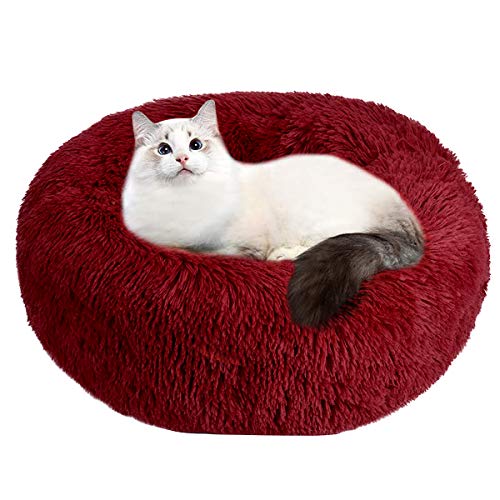 Wuudi Katzenbett niedliches Tierbett, rutschfestes weiches rundes Hundesofabett, 2 PCS weiches kleines Hundebett und Decke (Wine red) von Wuudi