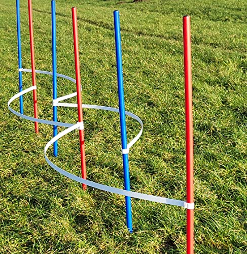 Wuzzmann Agility - Slalom - AUSBILDUNGSSET MIT 4 SLALOMBÖGEN/TRAININGSBÖGEN + 6 SLALOMSTANGEN ROT/BLAU von Wuzzmann