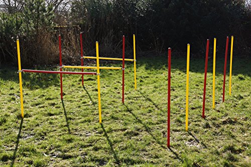 Wuzzmann Agility-Set für Hunde - Rot/Gelb - Übungs-Hürden/Slalom-Stangen-Set - Ohne Werkzeug auf/abzubauen - Kräftige Erdnägel für sicheren Stand von Wuzzmann