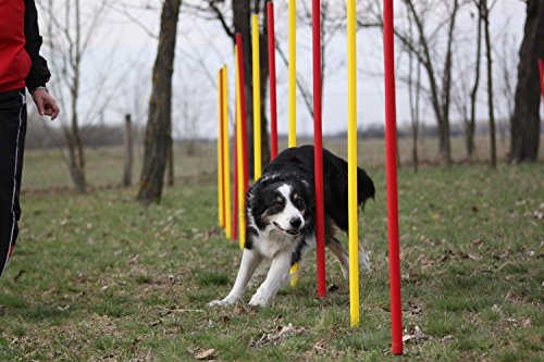 Wuzzmann Agility-ÜBUNGS-Slalom-Set ROT/GELB, 12 RUNDE STANGEN von Wuzzmann