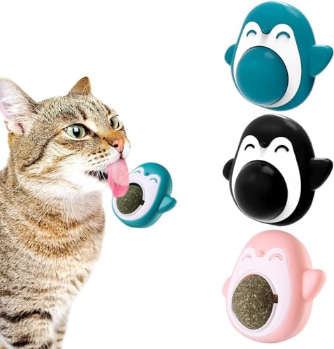 Wvu & Wvo 3 Stück Katzenminze Balls Spielzeug für Katze, 360° Katzenminze Wandroller für Katzenlecken mit Aufbewahrungsdeckel, Katzenminze Spielzeug, Zahnreinigung Dentales essbares Kätzchenspielzeug von Wvu & Wvo