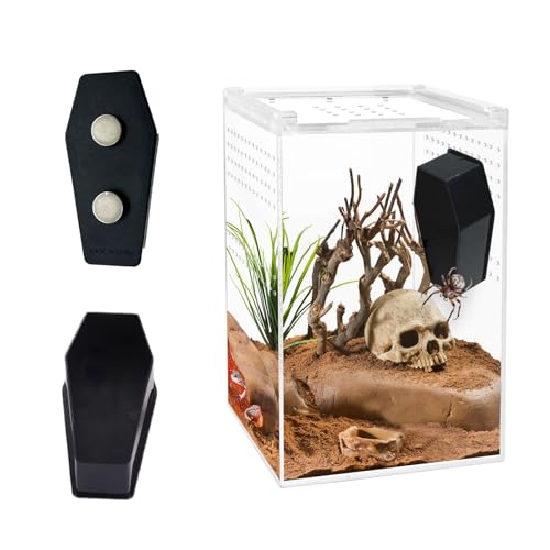 2 Pack Springspinne Sarg mit Magneten für Haustierspinne, Springspinne Gehege Zubehör, Spinne Terrarium Dekoration, Springspinne Versteck, Springende Spinne Lebensraum Zubehör von Wzttdm