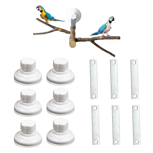 Wzttdm Saugnapf-Set für Vogelsitzstangen, Papageien, Conure - Silber / Weiß - ABS Kunststoff, Metall - ANIMAL_PERCH - 470875031 von Wzttdm