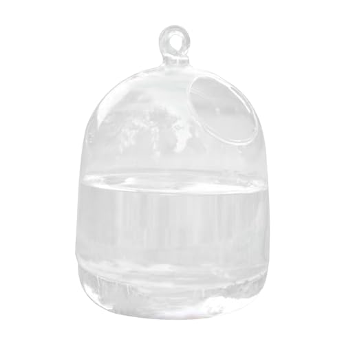 Wzxhew # Tisch-Schreibtisch-Hängeschale mit Ständer, Glas-Hängeschale, Mini-Aquarium für Fische, Heimdekoration, 15 x 9 cm, transparent, Einheitsgröße von Wzxhew