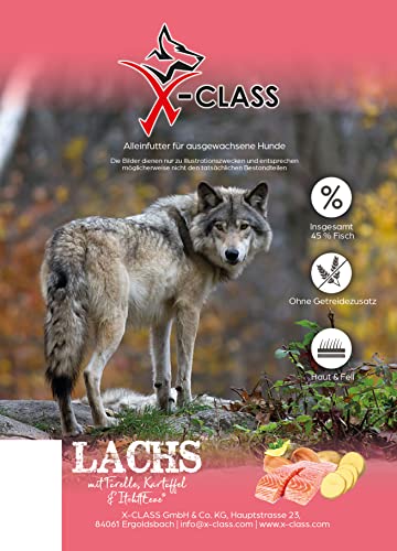 Lachs mit Forelle, Kartoffel & Itch-Eeze, getreidefreies Trockenfutter für ausgewachsene Hunde, 2kg von X-CLASS