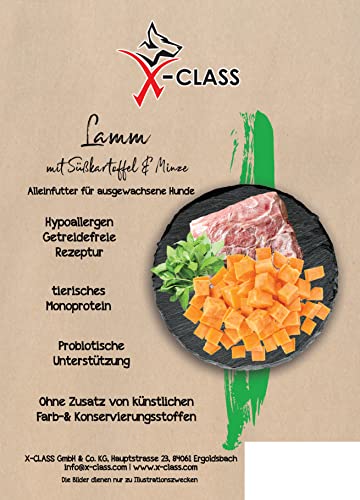 Lamm mit Süßkartoffel und Minze, Trockenfutter ohne künstliche Farb- und Konservierungsstoffe, getreidefrei für ausgewachsene Hunde, 12kg von X-CLASS