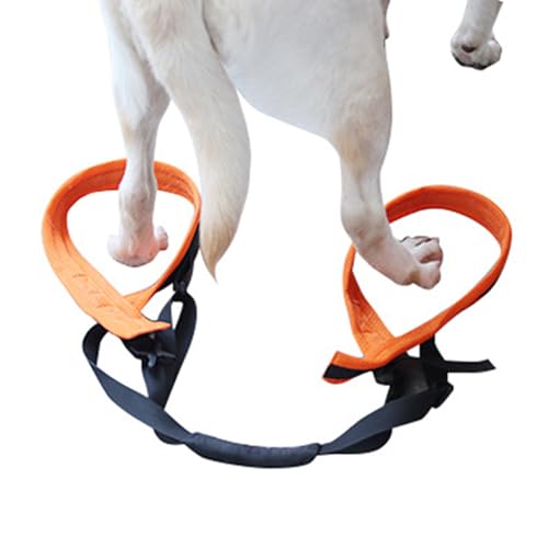Hilfs Hebegurt Für Hunde Gehgürtel Für Behinderte Hunde Hilfsgürtel Für Hunde Mit Behinderung Der Hinterbeine Hüftstützgurt Für Haustiere Beine des Hundes Hilfsgurt Für Ältere Hunde Gehgürtel von X-Institute