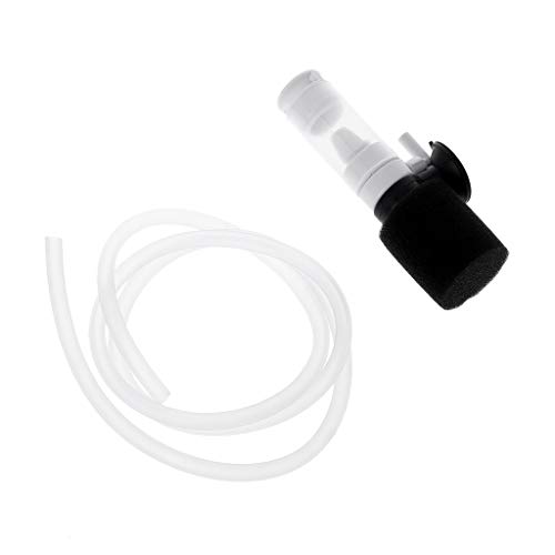 X-Institute Filter leise Luftfilter mit Luftschlauch inklusive Saugnapf und Schwamm für Garnelen X-Institute Filter leise Luftfilter mit Luftschlauch inklusive Saugnapf und Schwamm für Garnelen von X-Institute