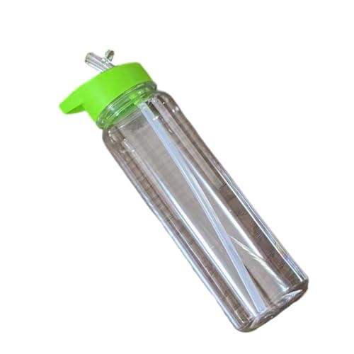 XAGMODSHN 700 ml leichte Kunststoff-Wasserflasche für Reisen, auslaufsichere Trinkflasche, Outdoor-Sport, Wasserflasche mit Strohhalm, Trinkgeschirr (Fruchtgrün) von XAGMODSHN