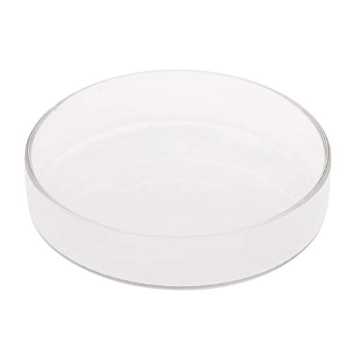 XAGMODSHN Garnelen-Futternapf aus klarem Glas, 9,9 cm, 8,9 cm, 8,1 cm, 6,6 cm, 6,1 cm, rundes Tablett, Fisch für Aquarium, Fischfutterstation, Futter B XAGMODSHN Garnelen-Futternapf aus klarem Glas, 9,9 cm, 8,9 cm, 8,1 cm, 6,6 cm, 6,1 cm, rundes Tablett, Fisch für Aquarium, Fischfutterstation, Futter B von XAGMODSHN