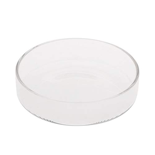 XAGMODSHN Garnelen-Futternapf aus klarem Glas, 9,9 cm, 8,9 cm, 8,1 cm, 6,6 cm, 6,1 cm, rundes Tablett, Fisch für Aquarium, Fischfutterstation, Futter B XAGMODSHN Garnelen-Futternapf aus klarem Glas, 9,9 cm, 8,9 cm, 8,1 cm, 6,6 cm, 6,1 cm, rundes Tablett, Fisch für Aquarium, Fischfutterstation, Futter B von XAGMODSHN
