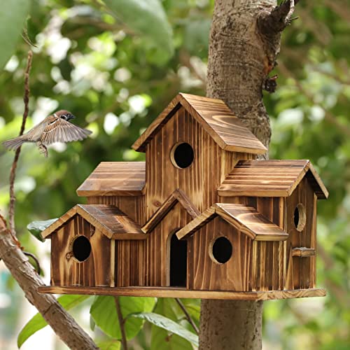 Vogelhäuser aus Holz zum Aufhängen im Freien, 6 Löcher, handgefertigtes natürliches Vogelhaus für Hinterhof, Innenhof, Terrasse, groß von XAOGUA