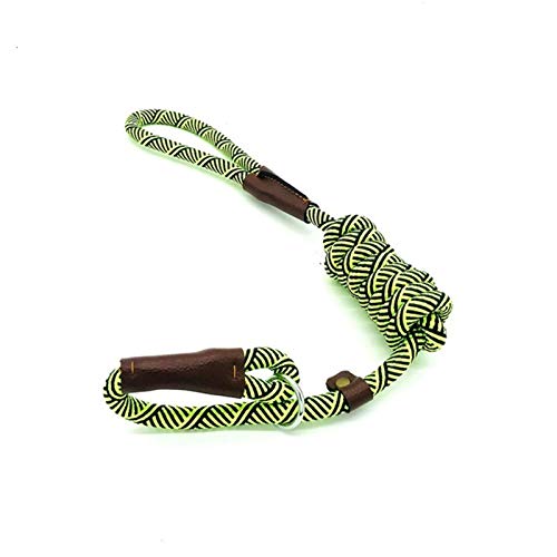 Durable Schlupf Seil Hundeleine Halsband 2 In 1 Einstellbare Schleifenkragen Comfortable Kleine Meidum Großer Fressnapf Geschirr-Leine BB (Color : Green, Size : L 1.8M) von XCHJY