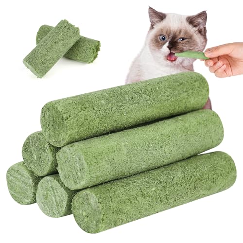 XCRPRT Katzengras Snack,120g Cat Grass Teething Stick, Gefriergetrocknet Snacks Für Katzen Für Die Zahnpflege Und Haarknäuel Entfernen, Katzenminze, Katzengras Für Katzen, Beißstab aus katzengras von XCRPRT