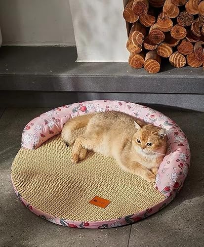 XDDBBB Hundematte zum Schlafen, Hundehütte für alle Jahreszeiten, universelle Bodenmatte, abnehmbare und waschbare Katzenmatte, Sommer-Haustier-Schlafmatte (Rosa, L 60 x 60 x 20 cm) von XDDBBB