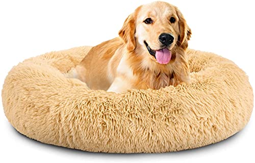 Rundes Plüsch-Katzen-Hundebett, Waschbares Flauschiges Haustierbett Für Große Mittelgroße Small Hunde (XL(75 ×75 × 18cm),Beige) von XDKS