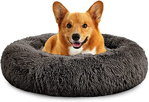 Rundes Plüsch-Katzen-Hundebett, Waschbares Flauschiges Haustierbett Für Große Mittelgroße Small Hunde (XL(75 ×75 × 18cm),Braun) von XDKS