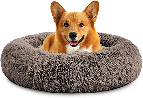 Rundes Plüsch-Katzen-Hundebett, Waschbares Flauschiges Haustierbett Für Große Mittelgroße Small Hunde (XL(75 ×75 × 18cm),Khaki) von XDKS