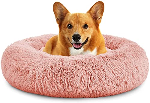 Rundes Plüsch-Katzen-Hundebett, Waschbares Flauschiges Haustierbett Für Große Mittelgroße Small Hunde (XL(75 ×75 × 18cm),Rosa) von XDKS