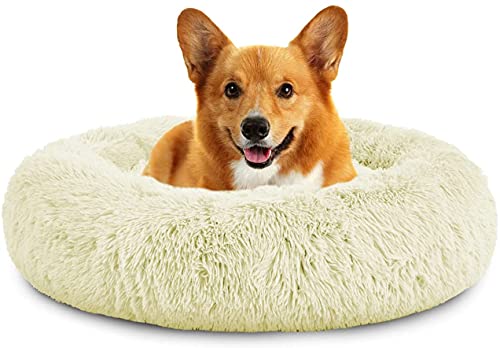 Rundes Plüsch-Katzen-Hundebett, Waschbares Flauschiges Haustierbett Für Große Mittelgroße Small Hunde (XL(75 ×75 × 18cm),Weiß) von XDKS