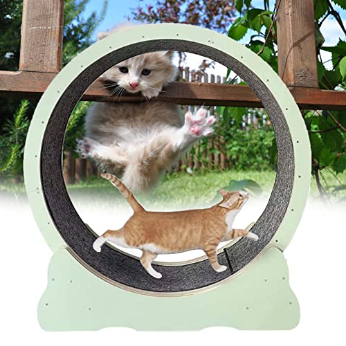 Cat Wheel, Cat Wheel Exercise, Cat Wheel Laufband Mit Teppichlaufbahn, Leises Cat Running Riesenrad, Cat Wheel Exerciser Für Indoor-Katzen,Green-L von XDLYWUZIQ