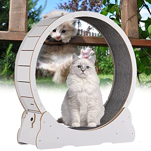 Cat Wheel, Cat Wheel Exercise, Cat Wheel Laufband Mit Teppichlaufbahn, Leises Cat Running Riesenrad, Cat Wheel Exerciser Für Indoor-Katzen,White-L von XDLYWUZIQ