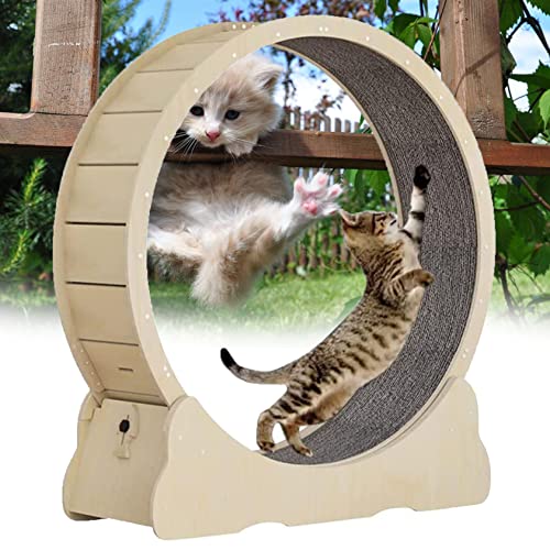 Cat Wheel, Cat Wheel Exercise, Cat Wheel Laufband Mit Teppichlaufbahn, Leises Cat Running Riesenrad, Cat Wheel Exerciser Für Indoor-Katzen,Woodcolor-L von XDLYWUZIQ