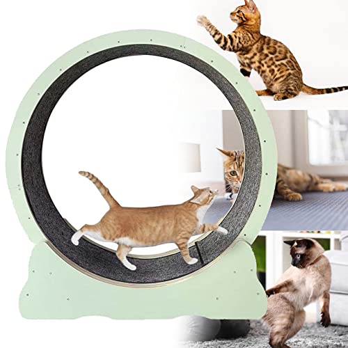 Kätzchen-Spielzeug, Laufband Mit Laufband Für Katzen, Leises Laufband Für Kleine, Mittelgroße Katzen, Leises Laufrad Für Katzen – Gewichtsverlustgerät Für Katzen,Green-L von XDLYWUZIQ