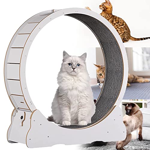 Kätzchen-Spielzeug, Laufband Mit Laufband Für Katzen, Leises Laufband Für Kleine, Mittelgroße Katzen, Leises Laufrad Für Katzen – Gewichtsverlustgerät Für Katzen,White-L von XDLYWUZIQ