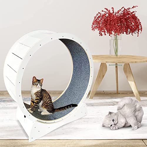 Katzen-laufband Mit Lückenlosem Design, Katzen-laufrad, Fitness-gewichtsverlustgerät, Leises Und Robustes Hamsterrad Für Kätzchen, Geräuscharme, Niedliche Katzenmöbel,White-XL von XDLYWUZIQ