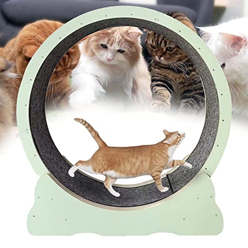 Laufrad Für Katzen, Strapazierfähiges Laufband Für Katzen, Leises Drehen, Laufrad Für Katzen Mit Feststellvorrichtung, Interaktives Spielzeug Zur Gewichtsabnahme Für Kätzchen,Green-XL von XDLYWUZIQ