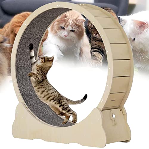 Laufrad Für Katzen, Strapazierfähiges Laufband Für Katzen, Leises Drehen, Laufrad Für Katzen Mit Feststellvorrichtung, Interaktives Spielzeug Zur Gewichtsabnahme Für Kätzchen,Woodcolor-XL von XDLYWUZIQ