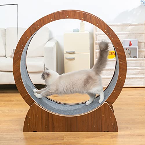 Pet Running Machine, Katzenrad, Laufrad Für Indoor-Katzen, Hamsterrad Zur Gewichtsreduktion Für Kätzchen, Katzenspielzeug-kratzbaum, Für Alles Laufen, Spinnen, Kratzen, Klettern,L von XDLYWUZIQ