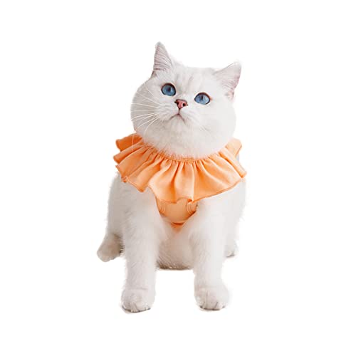 Cat Spay Recovery Suit Female Cats Professional Recovery Suit for Abdominal Wound Cat Wound Surgery Recovery Suit After Surgery Wear, Pyjama Suit, E-Collar Alternative for Kitten (C-SHF01-Orange-M) von XDOOXMLX