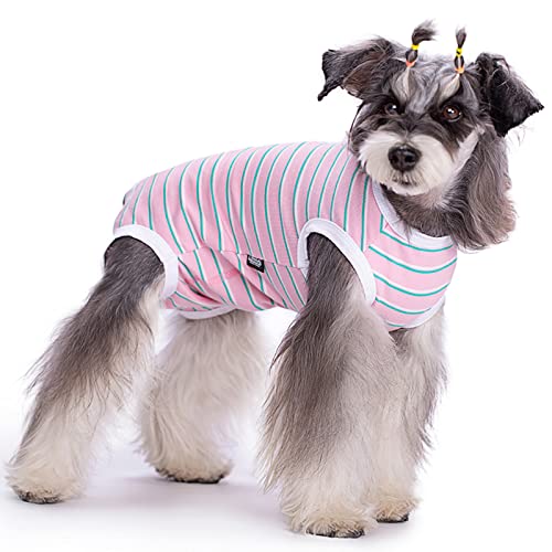 XDOOXMLX Hunde-Genesungsanzug nach Operationen, Hunde-Operation, Genesungsanzug für Bauchwunden, Neuter für männliche und weibliche Hunde, Anti-Leck-Ersatz Elizabethan(DRS01-Pink-XL) von XDOOXMLX