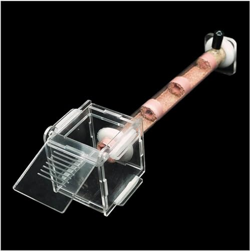 1 Reagenzgläser Ameisenfarm Acryl Ameisennest Ameisen Haus Ant Nest Insekt Villa Ameisenhaufen Pet Farmen Kit Formicarium Display Box (Color : B-18-180MM)-1 von XENITE