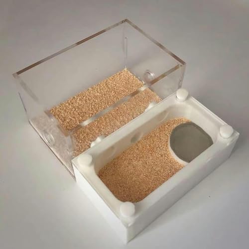 Acryl AntHouse Ameisennest Insekt Villa Natürliche Ameisenfarm Aus Sand Formicarium Display Box Set (Color : C)-1 von XENITE